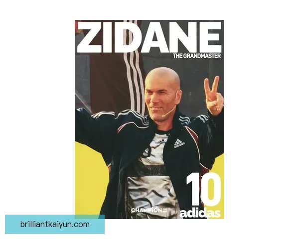 齐达内职业生涯回顾，展现从球场传奇到战术大师的华丽转身，值得关注