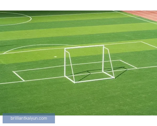 足球球场推荐：选择适合的场地提升团队训练效果